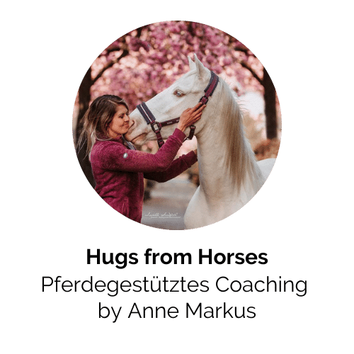 Hugs from horses Logo mit Bild von Anne Markus und Prinz